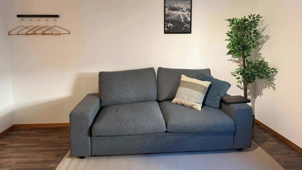 A grey sofa with a cushion, a wall-mounted coat rack, a framed picture, and a potted plant. - book2stay: Apartment 2.5-room Biel (Biel)