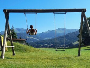 Eine Schaukel auf einer Wiese mit Bergen im Hintergrund.