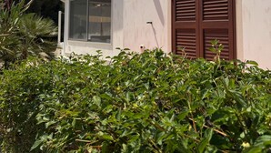 A white building with a large window and brown shutters, surrounded by greenery. - Villa Faro Sea (San vito lo capo)