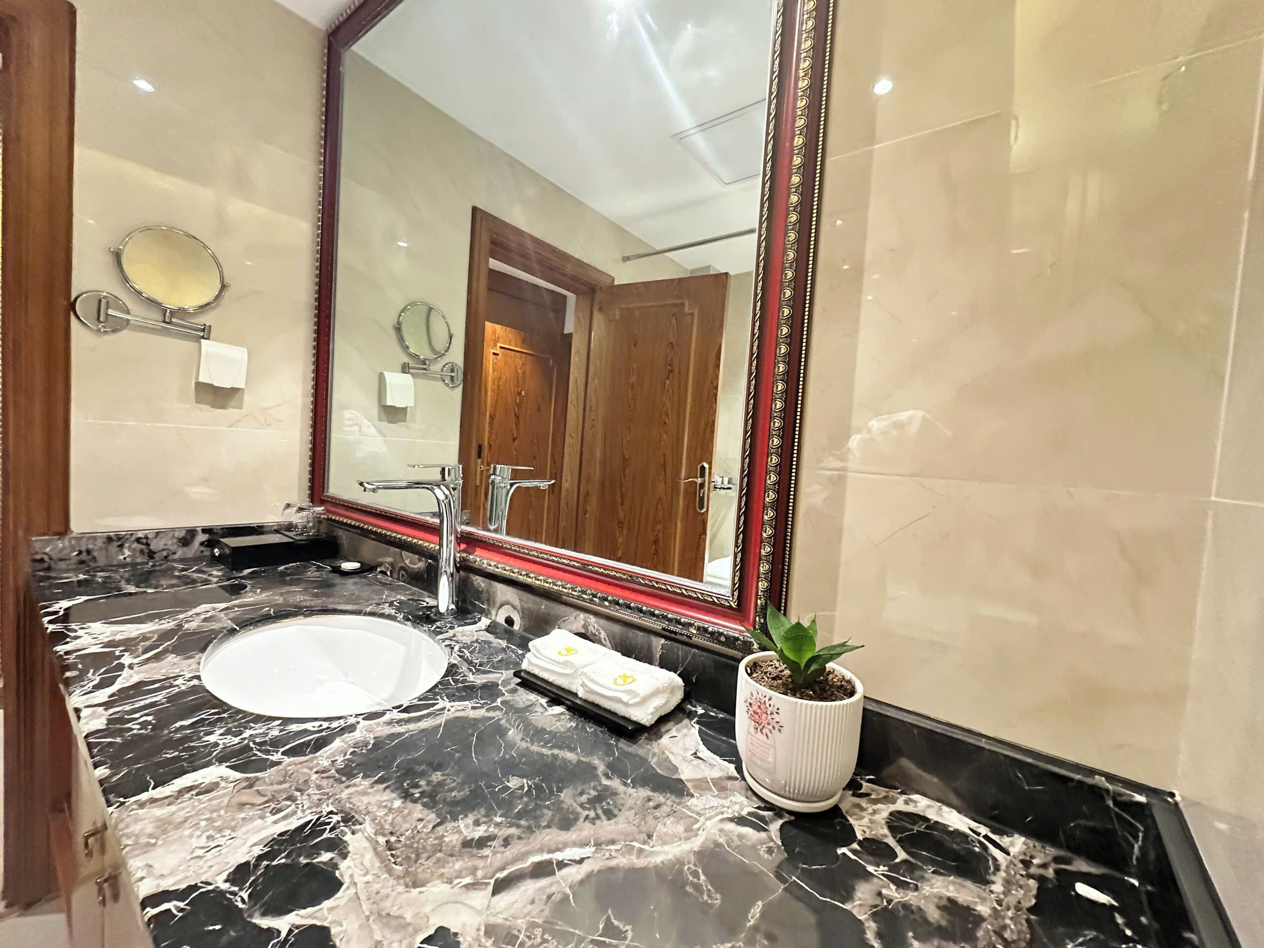Baño con lavamanos de mármol, un espejo grande y una planta en maceta.