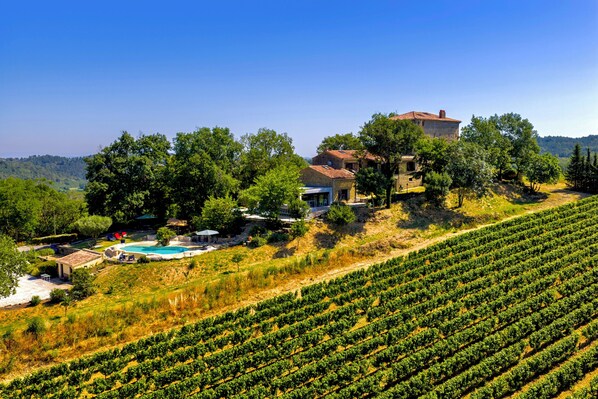Un vignoble avec des rangées de vignes, une maison avec une piscine et un ciel d’un bleu limpide.