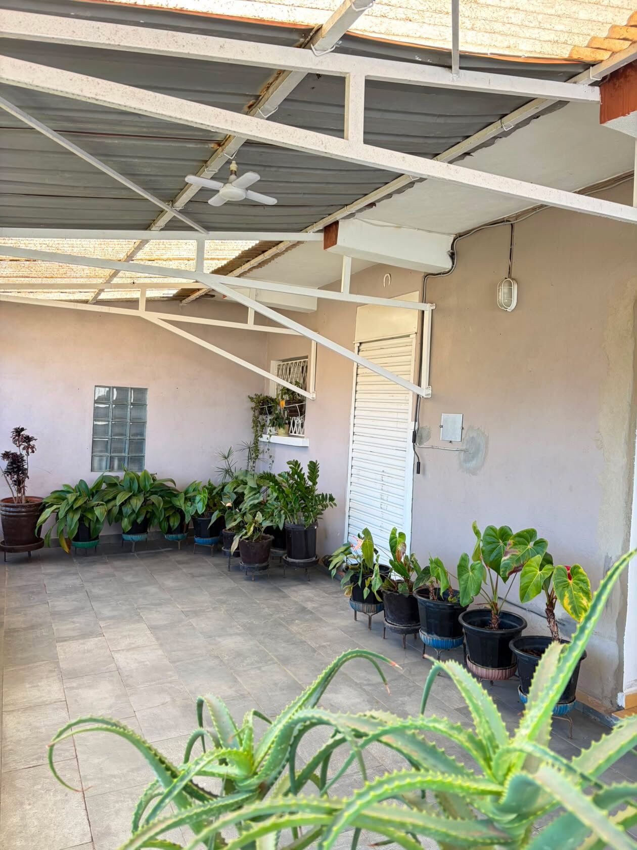 A covered patio area with potted plants, a ceiling fan, and a white door.