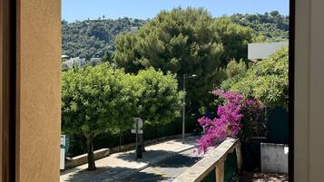 A view from a balcony with a street, trees, and a distant hill.