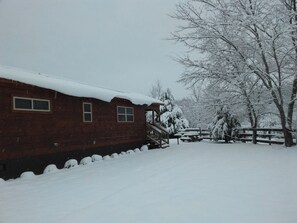 Exterior - CABIN #1  Cozy 1-bedroom cabin in beautiful Tryon NC 3 miles to TIEC! (Tryon)