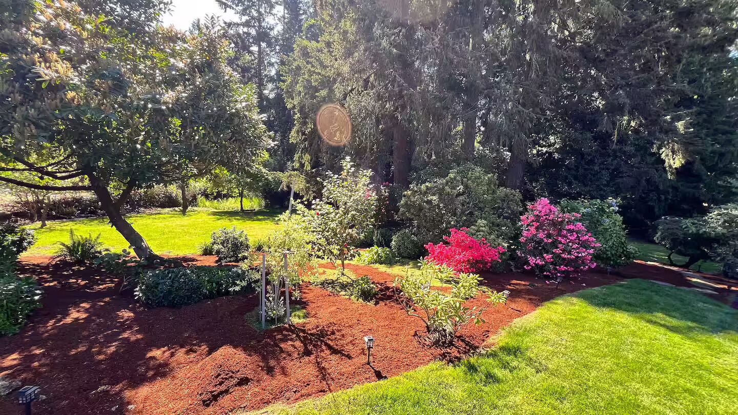 Een tuin met verschillende planten en bomen, een verzorgd gazon en een pad.