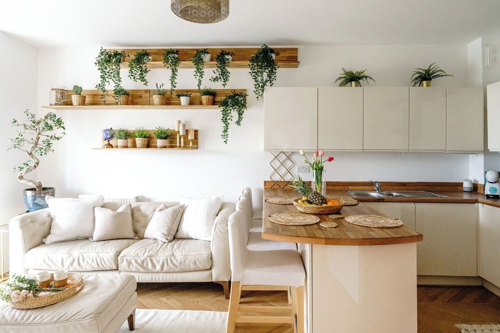 A modern kitchen with a central island, wooden shelves with plants, a white sofa, and a dining area.