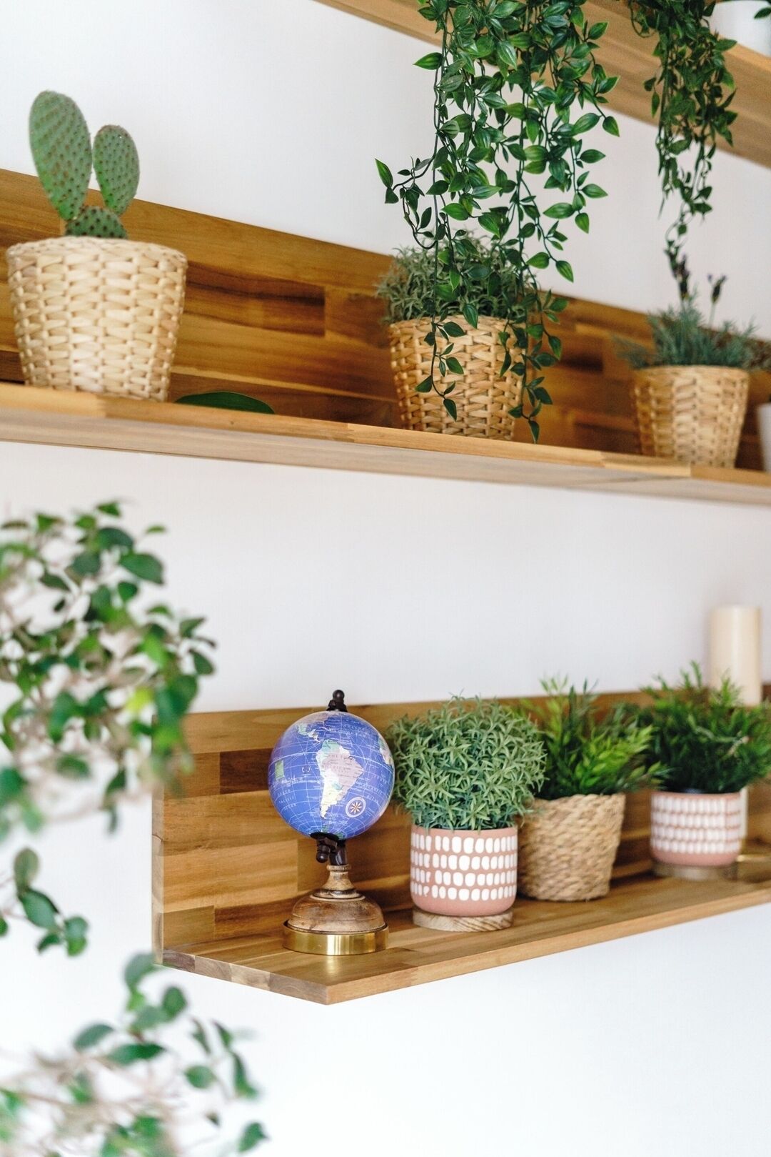 Een houten plank met verschillende potplanten en een wereldbol.