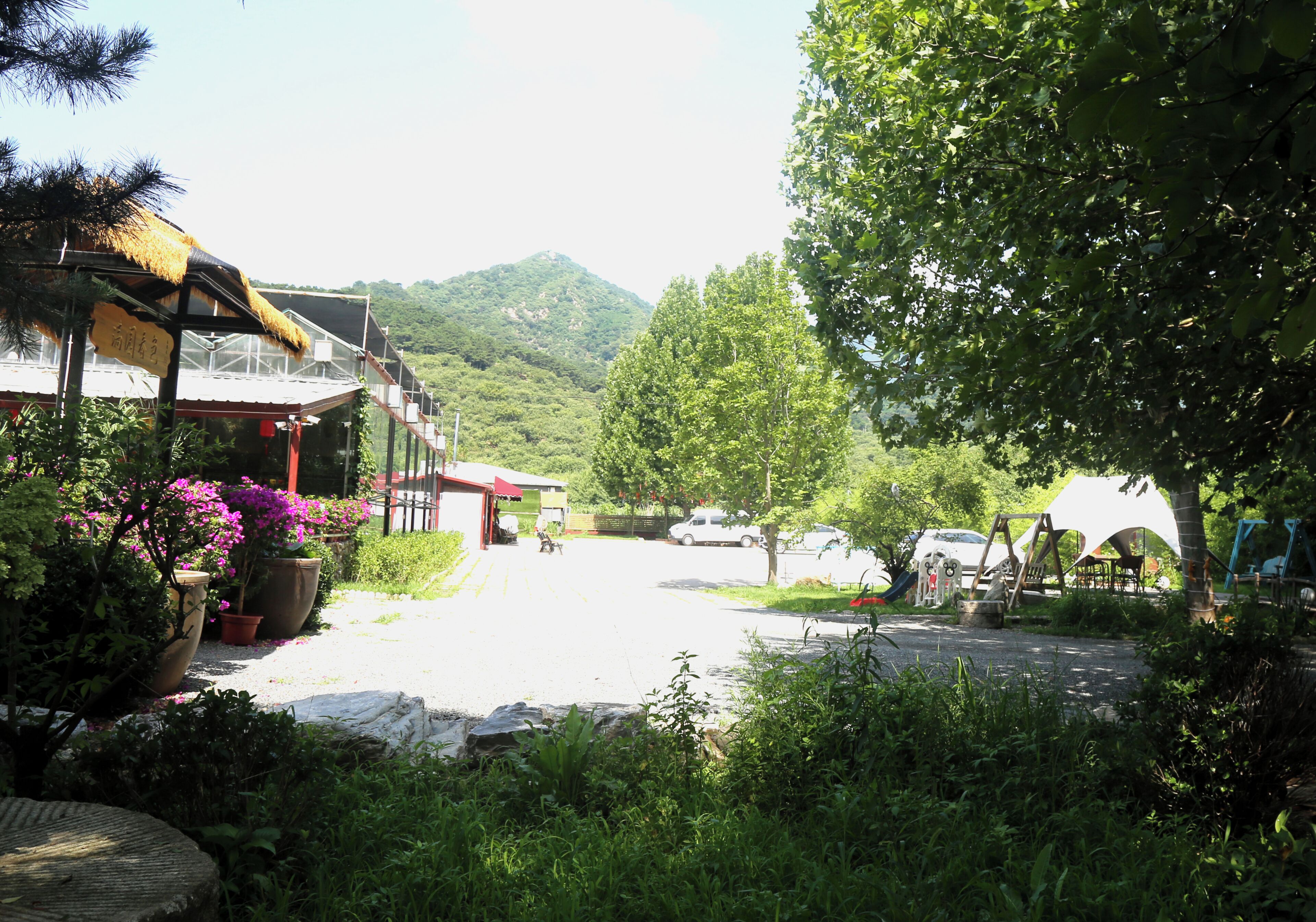 A parking area with a building on the left, surrounded by greenery and a mountain in the background.