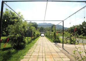 Ulkoalueet