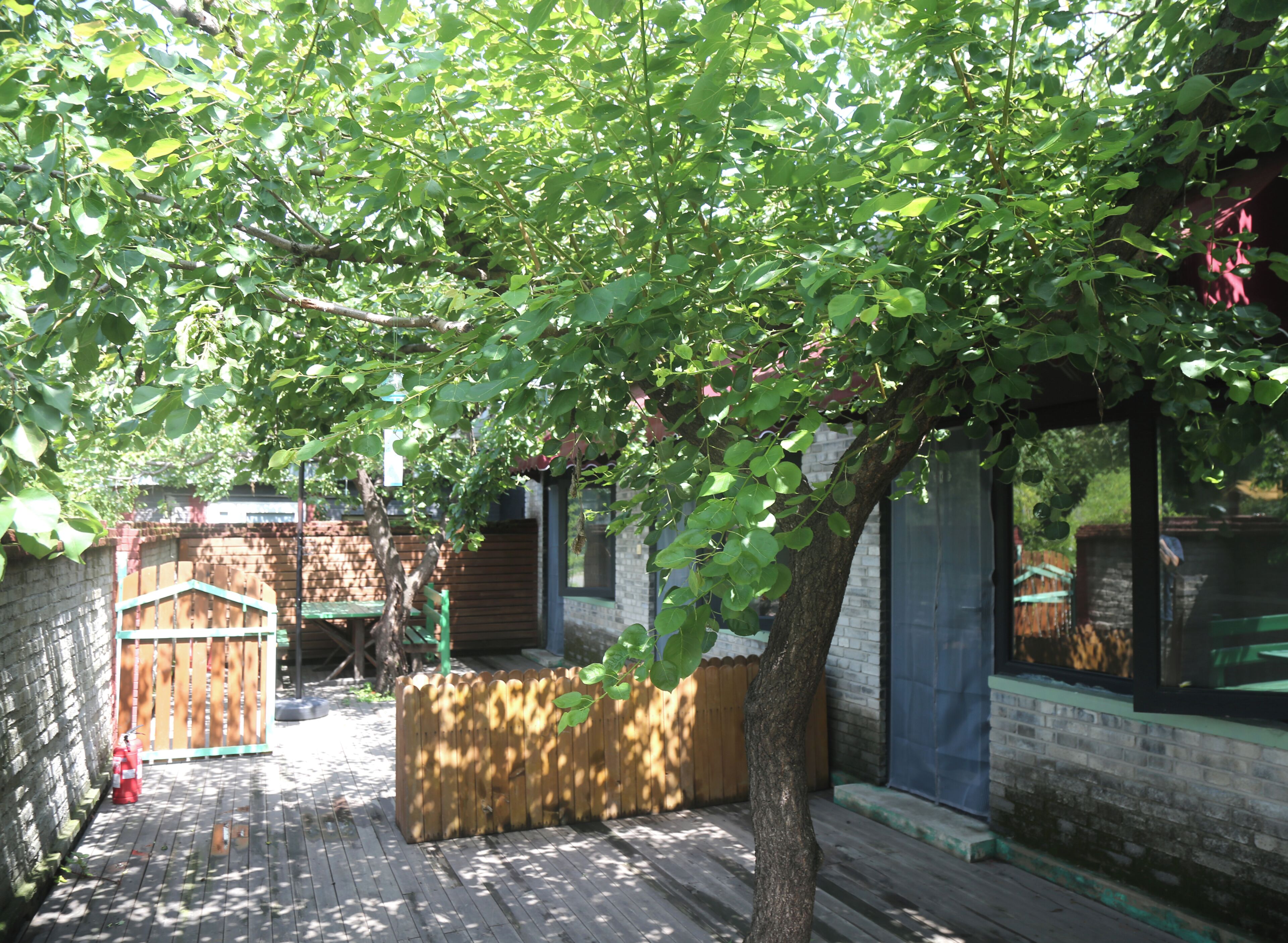 A wooden deck with a tree, a brick wall, and a wooden fence.