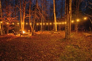 Un espace boisé avec un foyer et des sièges, entouré d’arbres et illuminé par des guirlandes lumineuses.