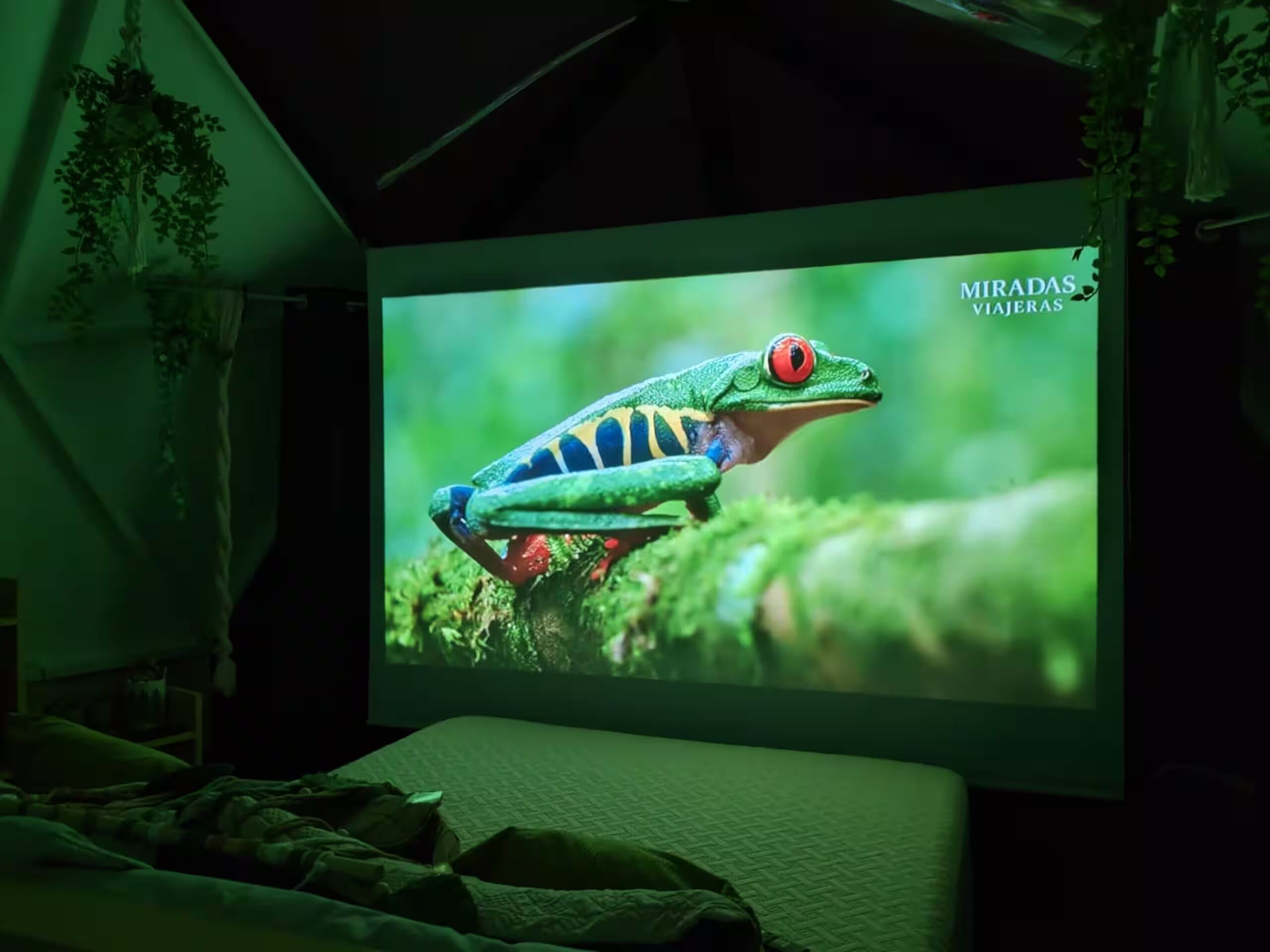 Televisión