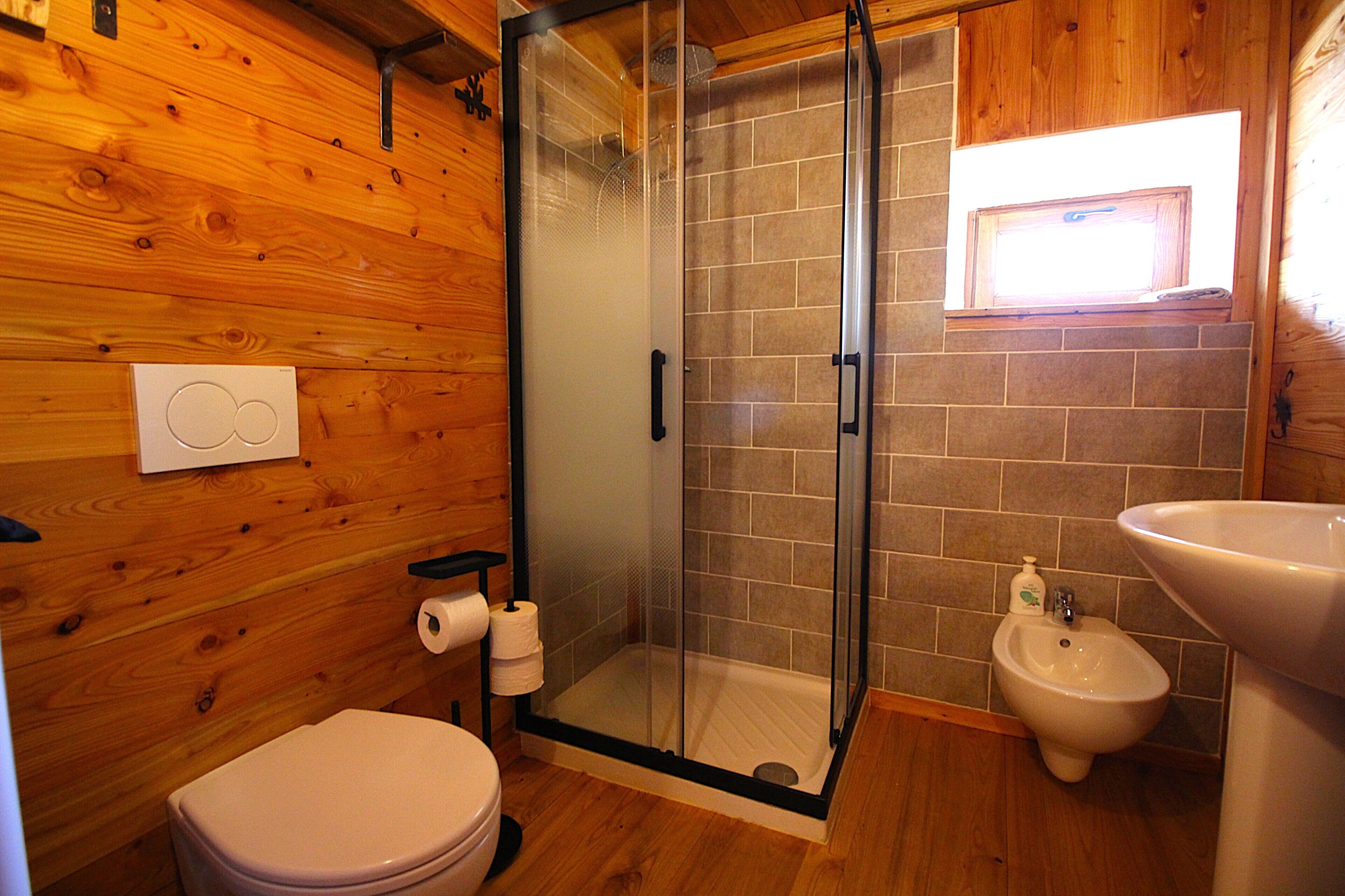 Shower, hair dryer, bidet, towels