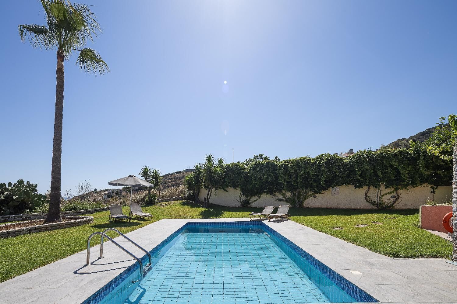 A rectangular swimming pool with a tiled edge, surrounded by a concrete deck, with lounge chairs and a palm tree in the background.