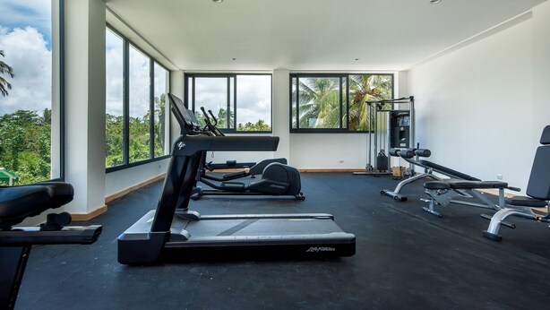 A gym with treadmills, elliptical machines, and weight equipment. - 2-bedroom with Lagoon and Pool View (Bavaro)