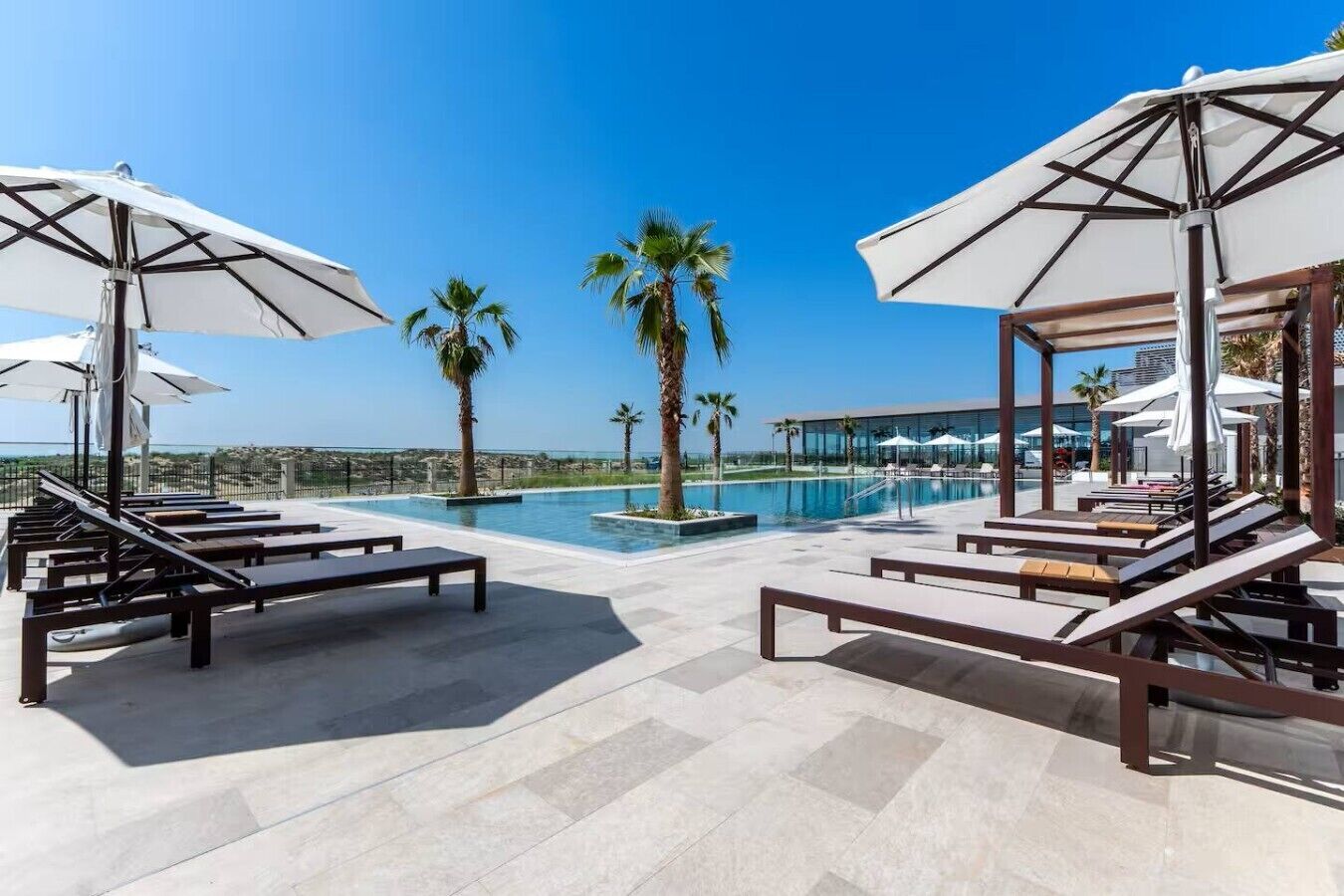 Ein Poolbereich mit Liegestühlen und Sonnenschirmen, freie Sicht auf den Pool und Palmen.