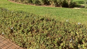 Property grounds - Luxury apartment in prestigia marrakech (Marrakesh-Safi)