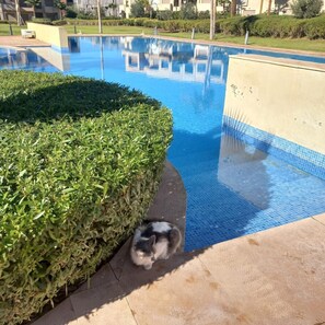 Pool - Luxury apartment in prestigia marrakech (Marrakesh-Safi)