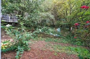 Unclassified image, 5 of 37, button