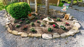 Un jardí paisatjístic amb diverses plantes i un marc de pedra.