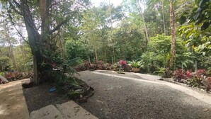 A paved pathway surrounded by dense greenery and various plants. - Cottage with a pool and natural surroundings—just 20 minutes from the beaches and Manuel Antonio Park! (Naranjito)