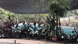 A pool area with a variety of plants and a large umbrella providing shade. - Cottage with a pool and natural surroundings—just 20 minutes from the beaches and Manuel Antonio Park! (Naranjito)
