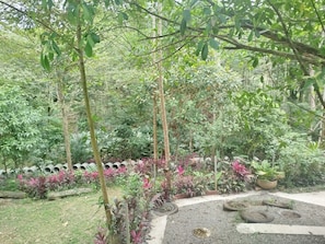 A garden with a variety of plants, a pathway, and tire planters.