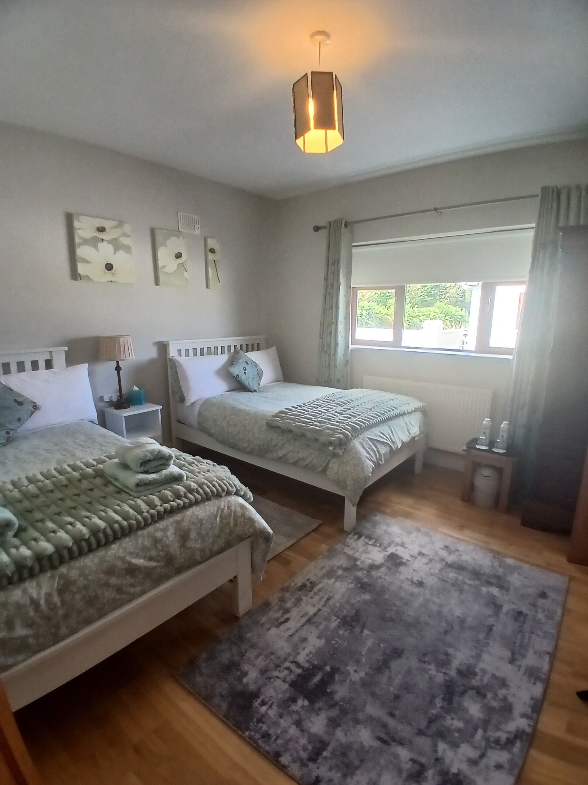 Una camera da letto con due letti, una finestra con tende, un comodino con una lampada e un tappeto sul pavimento.
