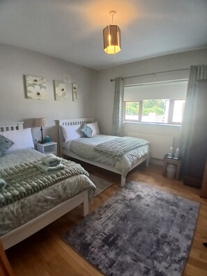 Un dormitorio con dos camas, una ventana con cortinas, una mesita de noche con lámpara y una alfombra en el suelo.