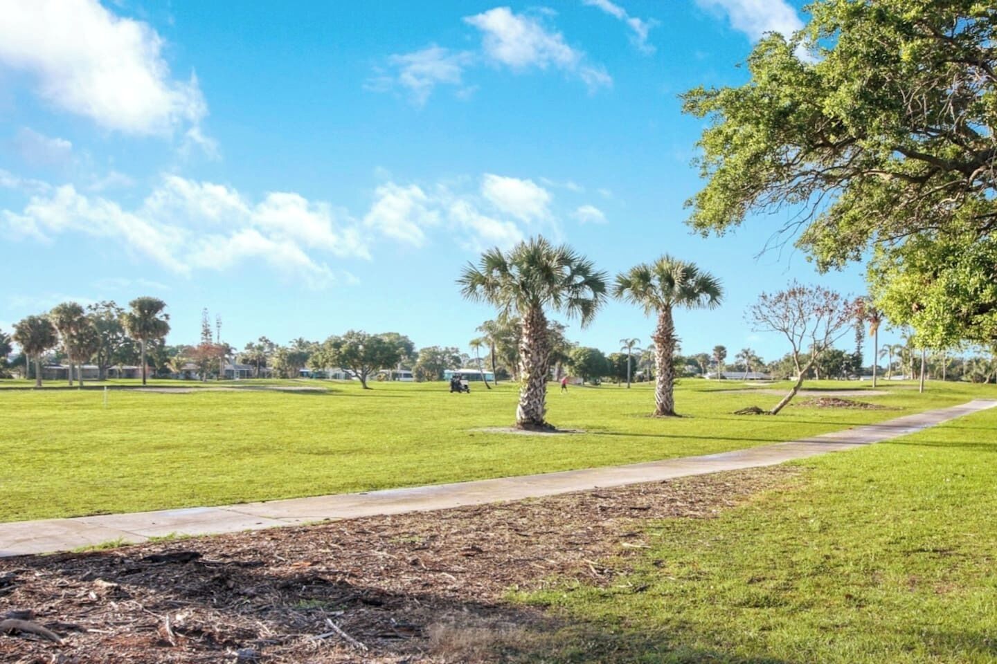 A park with a walking path, palm trees, and a clear sky.