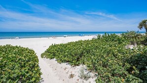 Ein Strand mit weißem Sand, blauem Himmel und üppigem Grün im Vordergrund.
