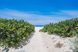 Camí vora una vegetació verda i abundant que condueix a una platja.