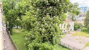 Ein großer Baum mit weißen Blüten in einem Innenhof, der von Gebäuden umgeben ist.