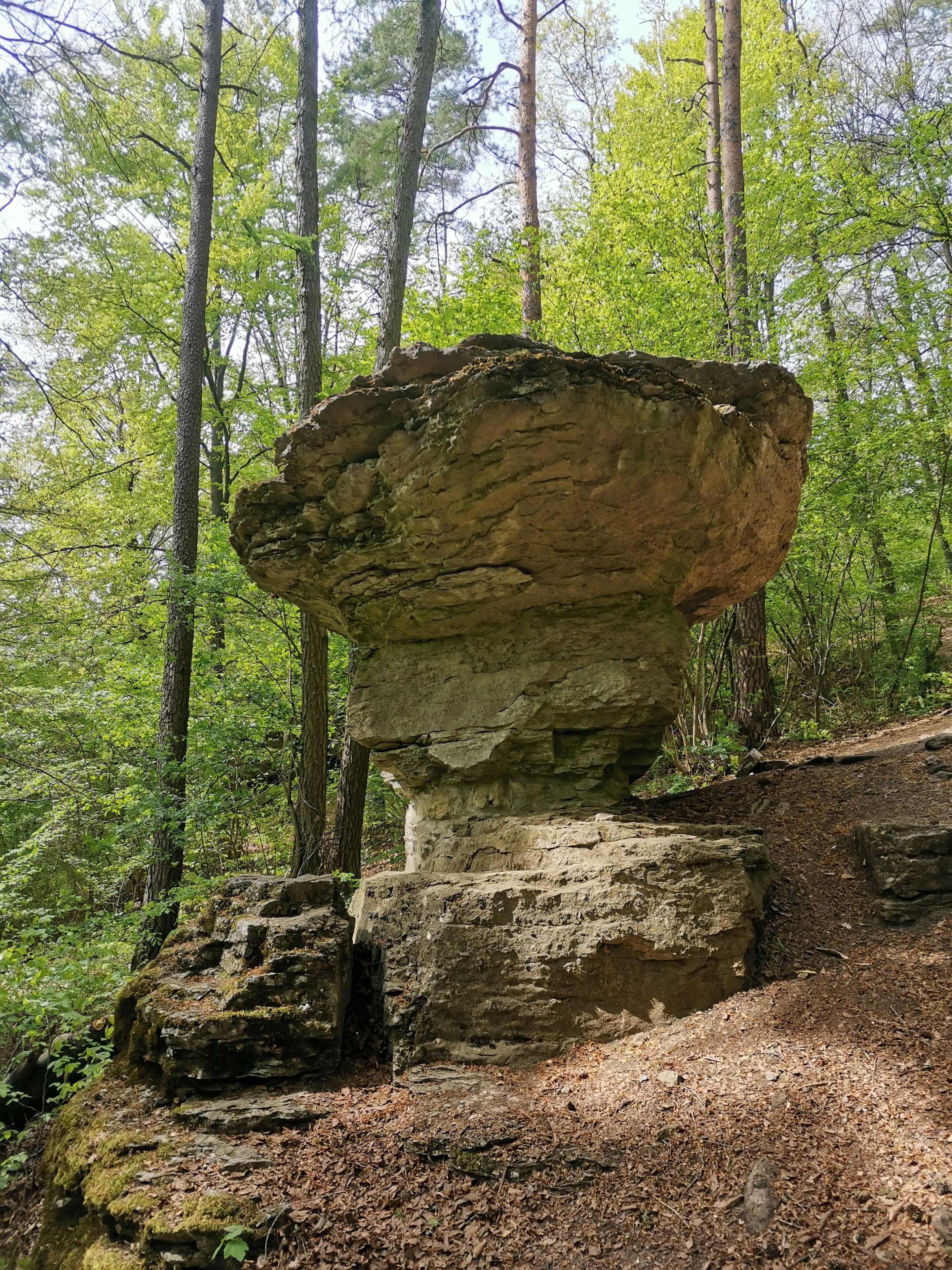 Een natuurlijke rotsformatie in een bebost gebied met bomen en een onverhard pad.