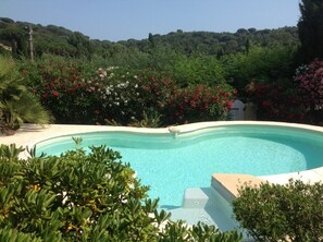 A swimming pool surrounded by lush greenery and flowering plants. - In La Croix Valmer, ground-floor villa unit with private pool for rent (La Croix-Valmer)