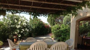Eine überdachte Terrasse im Freien mit Tisch und Stühlen, umgeben von viel Grün und Topfpflanzen.