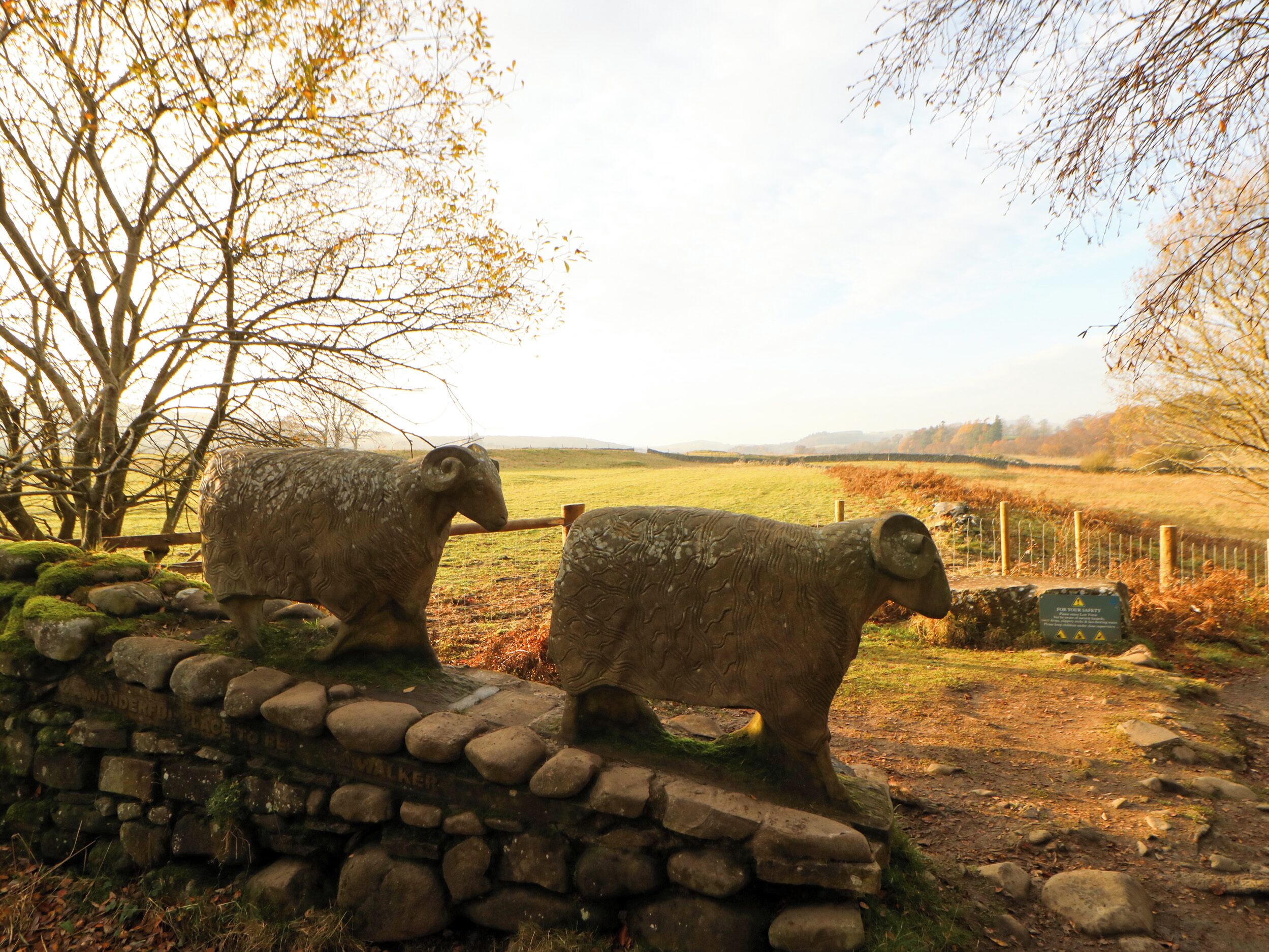 A stone wall with two sheep sculptures.