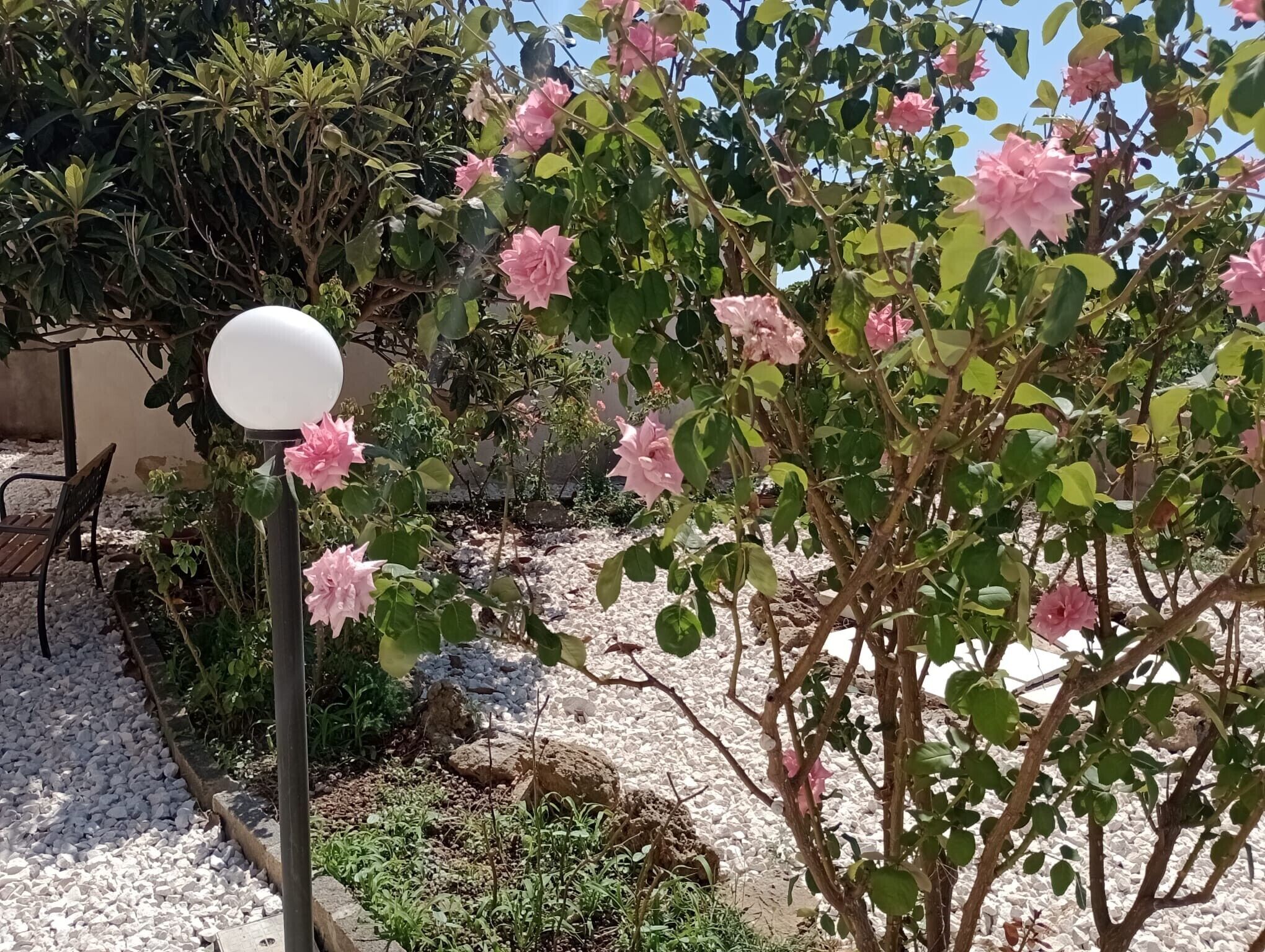 A garden with flowering plants and a white spherical object, possibly a lamp post, surrounded by gravel and a bench.