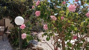 Een tuin met bloeiende planten en een witte, bolvormige constructie, mogelijk een lantaarnpaal, omringd door grind en een bank.
