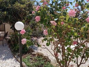 Un jardín con plantas en flor y un objeto esférico blanco, posiblemente un farol, rodeado de grava y un banco.
