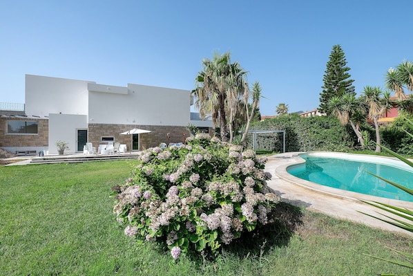 Ein modernes Haus mit Schwimmbad, Rasen und vielfältigen Pflanzen.