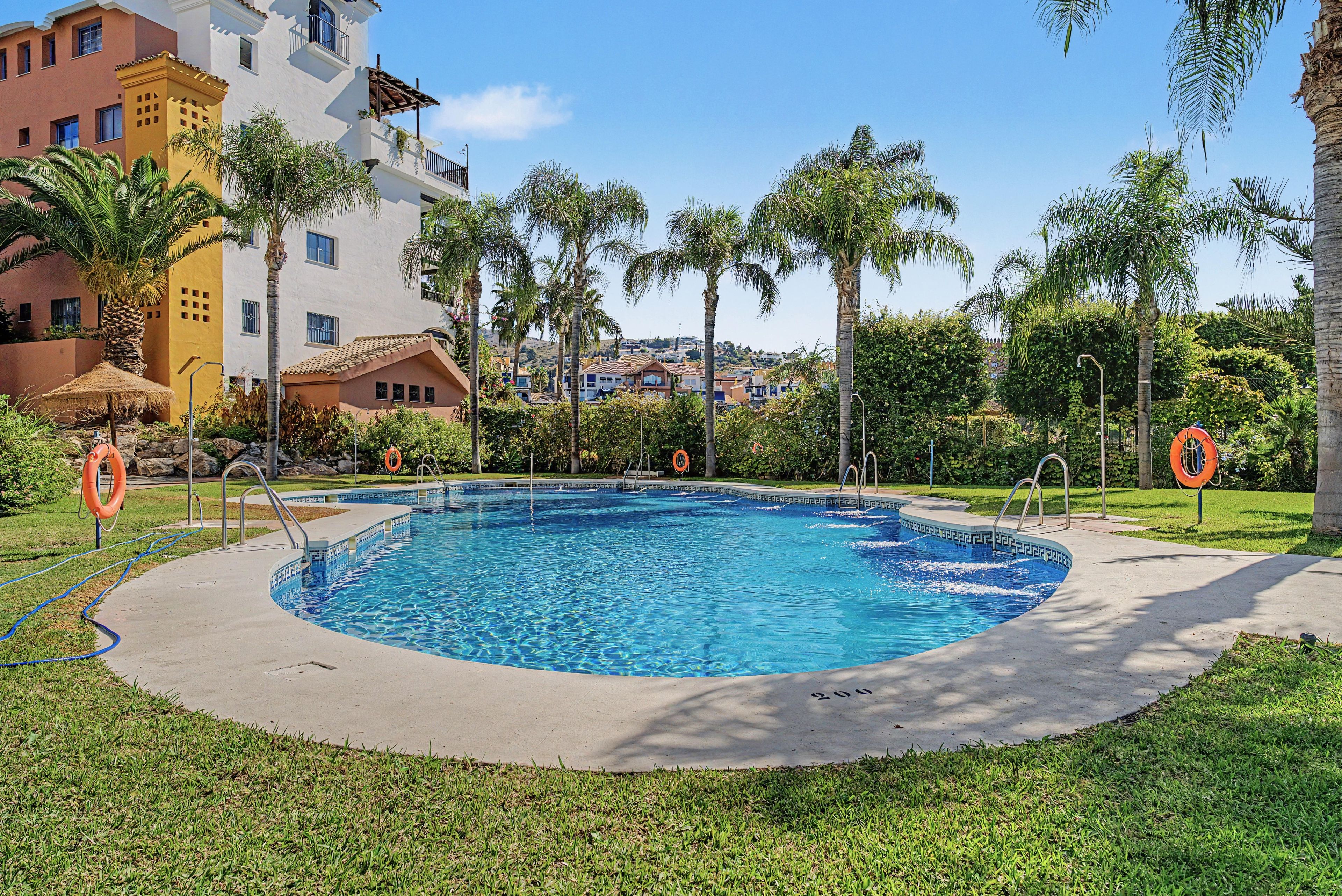 Una piscina con un bordeado, palmeras y un edificio con balcones.