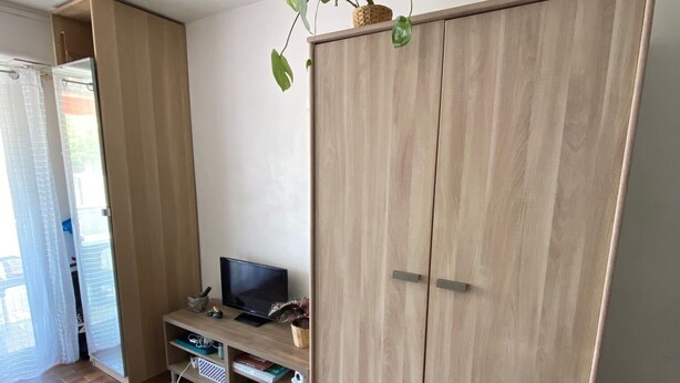 A room with a wooden wardrobe, a TV on a wooden stand, and a plant on top of the wardrobe. - Bright studio apartment 50 meters from the beach (Mauguio)