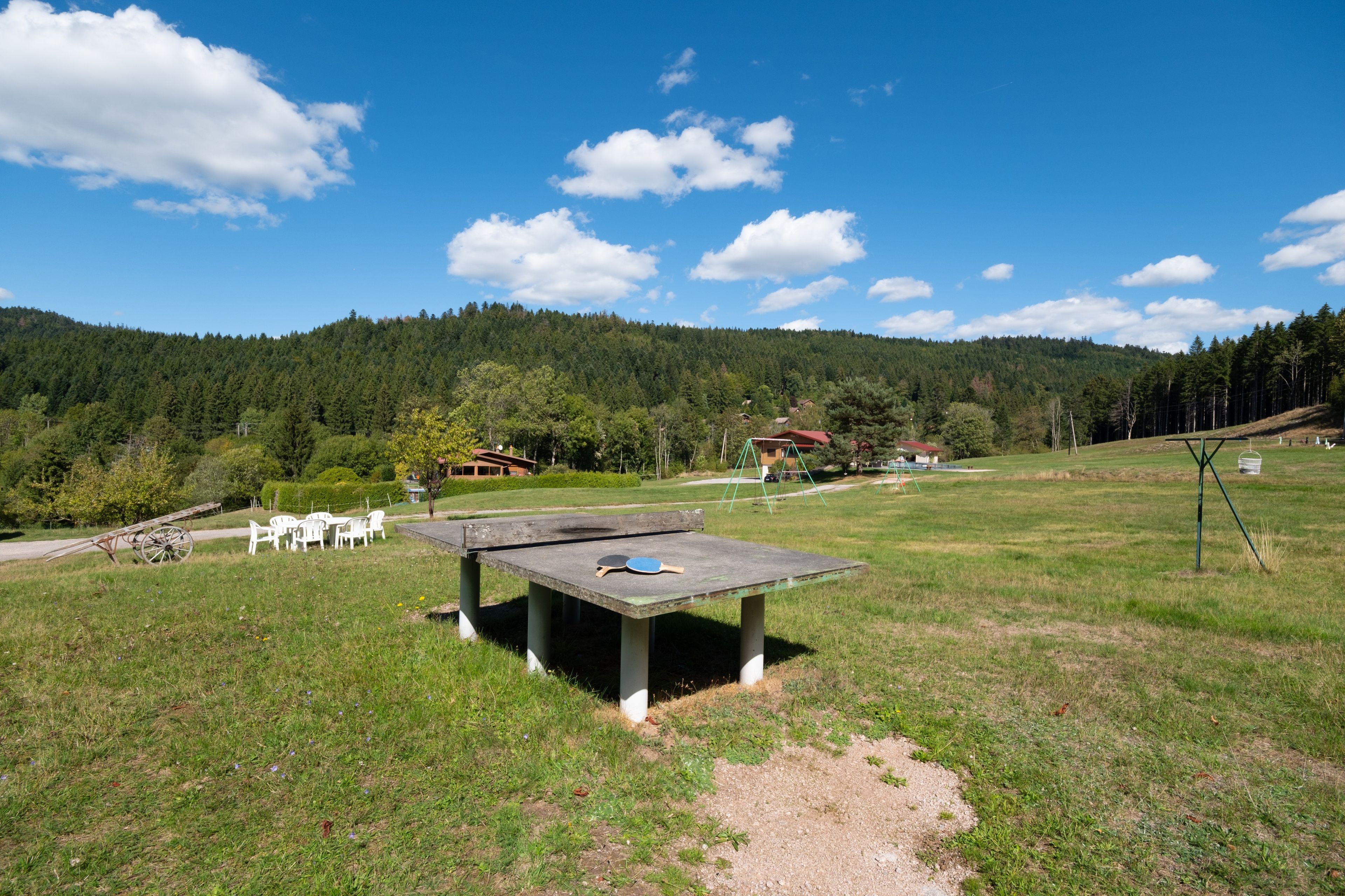 Een picknicktafel met twee tafeltennistafels in een grasveld, met een bebost heuveltje op de achtergrond.