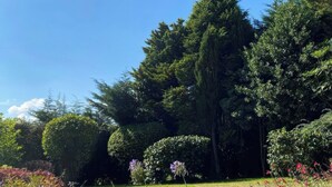 A garden with various trees and flowering plants. - The White House (Okehampton)