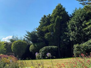 A garden with various trees and flowering plants. - The White House (Okehampton)