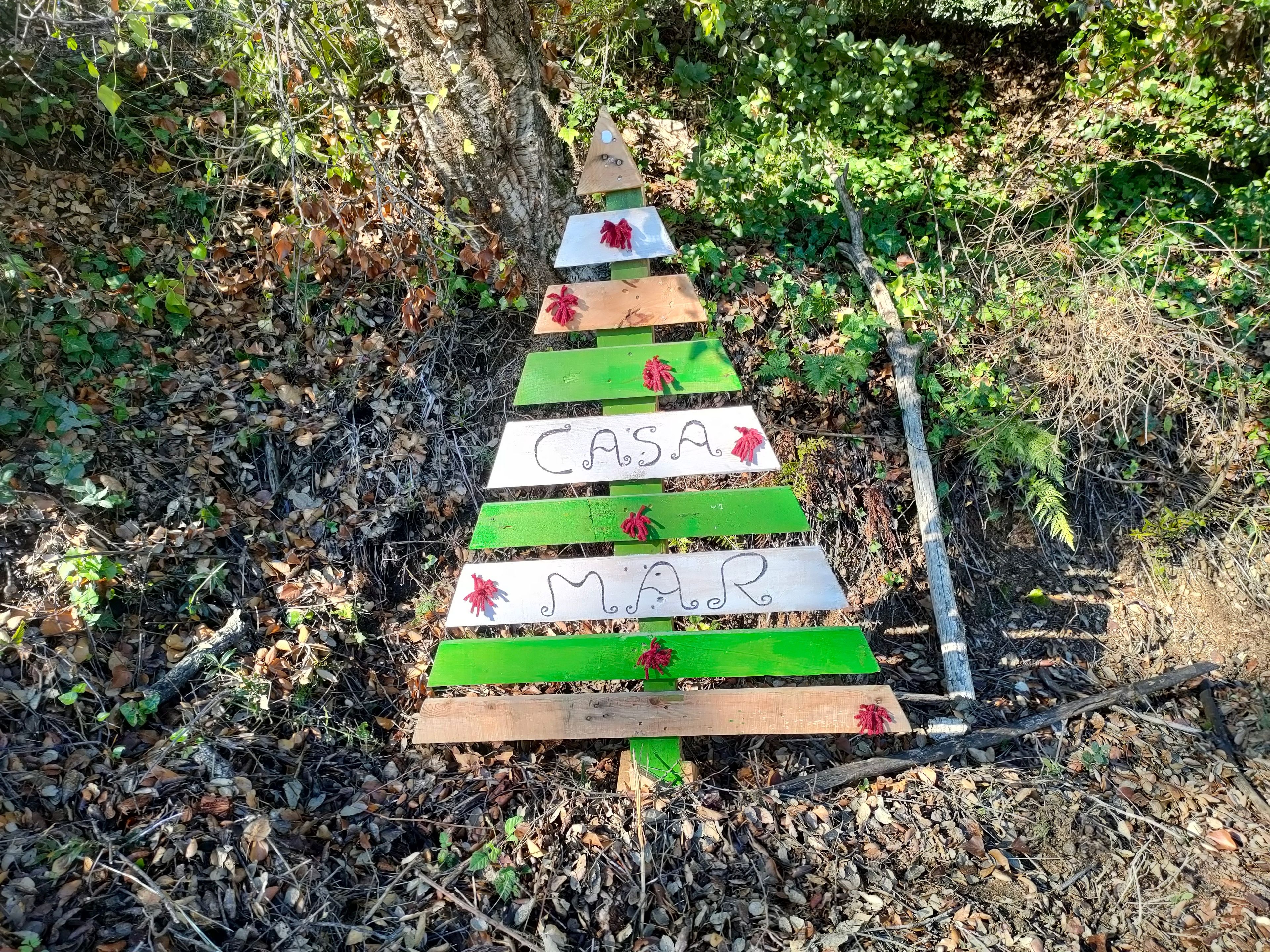 A wooden sign with the words 'CASA MAR' painted on it, surrounded by natural foliage.