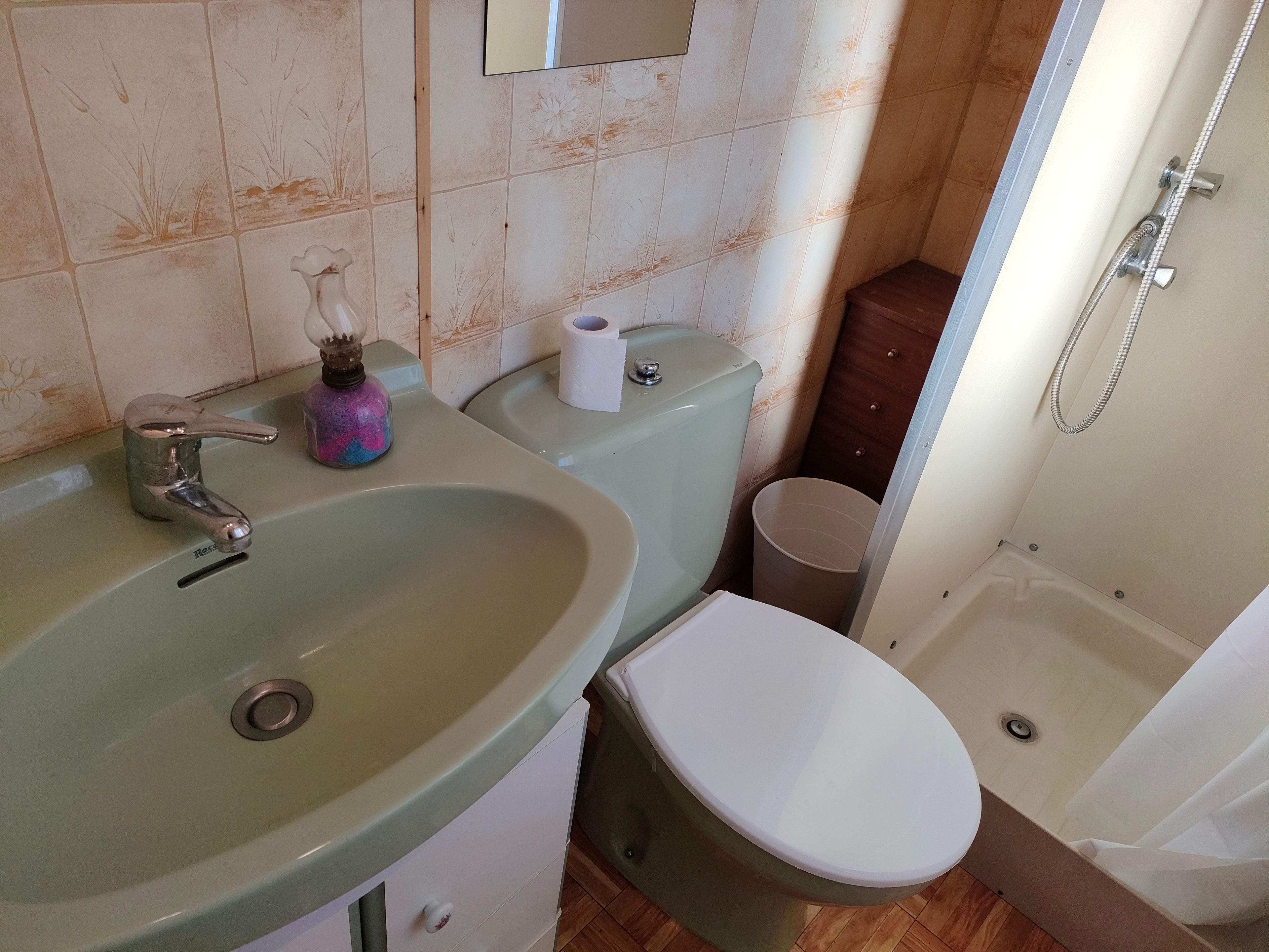 Een badkamer met een wastafel, toilet en douche.