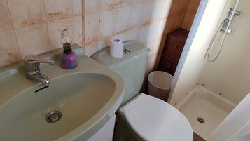 Een badkamer met een wastafel, toilet en douche.