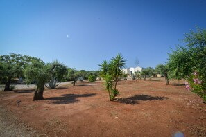 Un paisaje desértico con poca vegetación, un edificio al fondo y un cielo despejado.